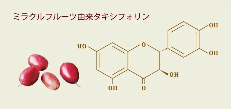 神秘の生命力「タキシフォリン」を検出