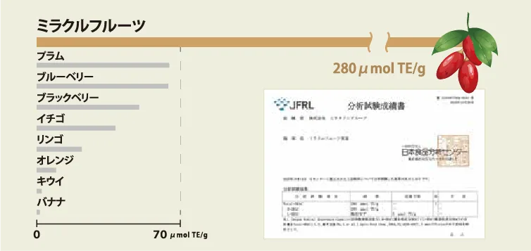 突出した抗酸化能力「ORAC値」