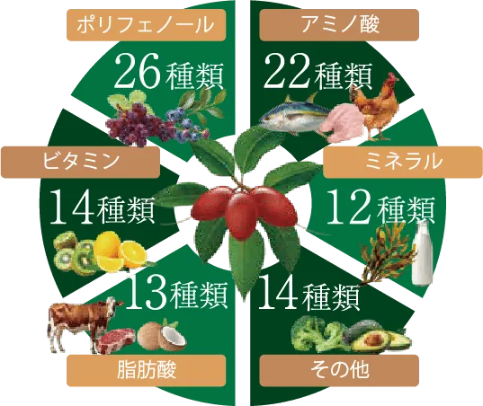 100種類以上の自然由来成分インフォグラフィック